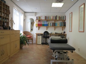 18-praktijk-de-cirkel-acupunctuur-fysiotherapie-sander-straver-den-haag-rijswijk-wateringen-zuid-holland-dry-needling-prognos