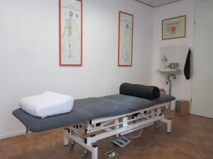 21-praktijk-de-cirkel-acupunctuur-fysiotherapie-sander-straver-den-haag-rijswijk-wateringen-zuid-holland-dry-needling-prognos